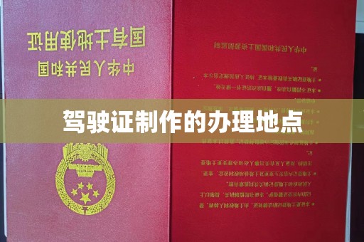 泰山驾驶证制作的办理地点