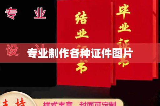 泰山专业制作各种证件图片