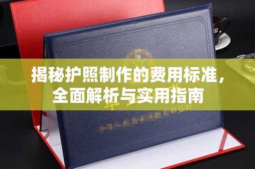 泰山揭秘护照制作的费用标准，全面解析与实用指南