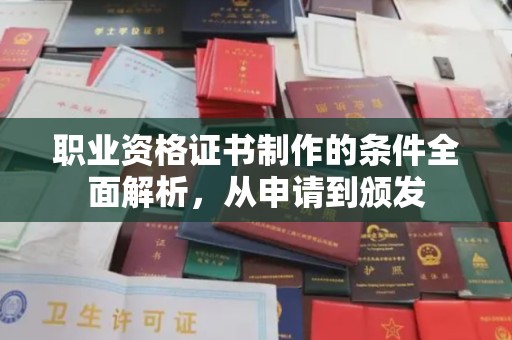 泰山职业资格证书制作的条件全面解析，从申请到颁发