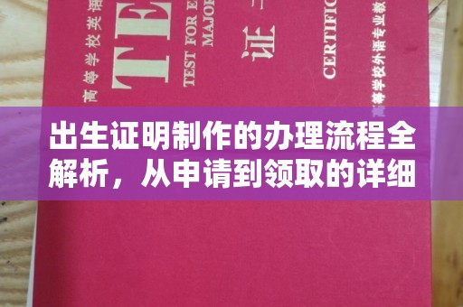 泰山出生证明制作的办理流程全解析，从申请到领取的详细指南