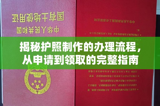 泰山揭秘护照制作的办理流程，从申请到领取的完整指南