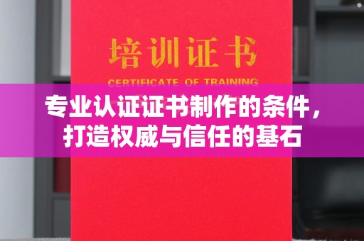 泰山专业认证证书制作的条件，打造权威与信任的基石