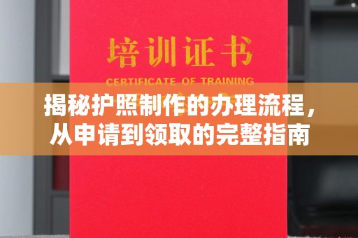 泰山揭秘护照制作的办理流程，从申请到领取的完整指南