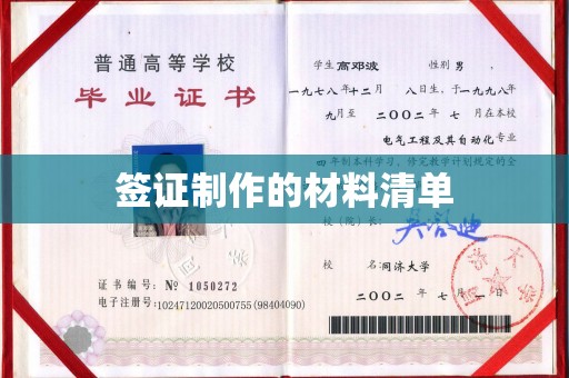 泰山签证制作的材料清单