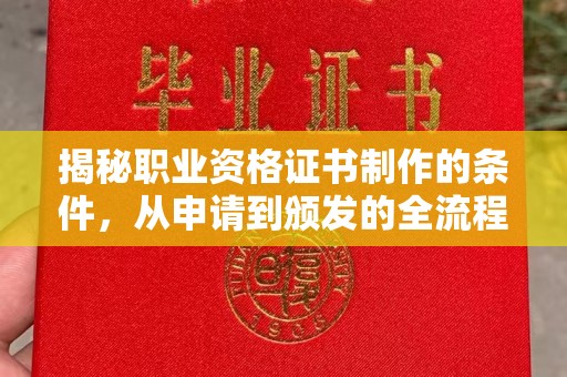 泰山揭秘职业资格证书制作的条件，从申请到颁发的全流程解析
