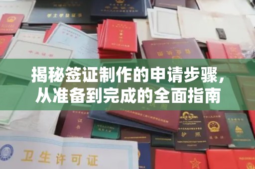 泰山揭秘签证制作的申请步骤，从准备到完成的全面指南