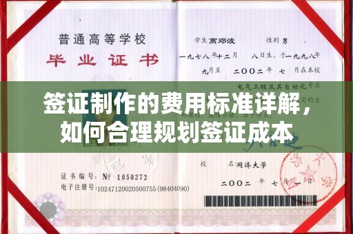 泰山签证制作的费用标准详解，如何合理规划签证成本
